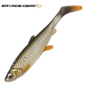 Bream 25cm 102g