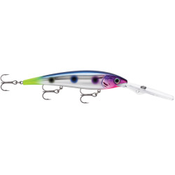 Chrome Blue Hot Tail (CHBHT)