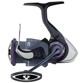 Daiwa 25 Prorex V LT