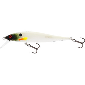 Ghost Hunter 9,5cm 8g
