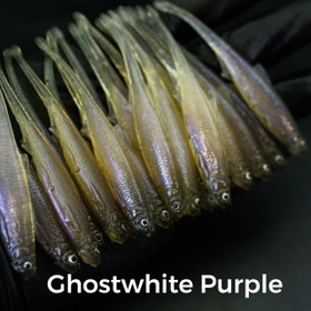 #805 Ghostwhite Purple 8cm 1kpl