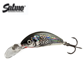 Holographic Grey Shiner 3,5cm 2,2g