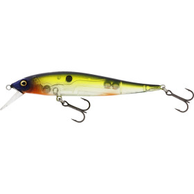Hot Shad 9,5cm 8g