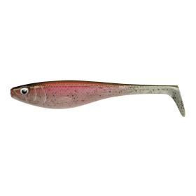 Live Rainbow Trout 18cm 51g