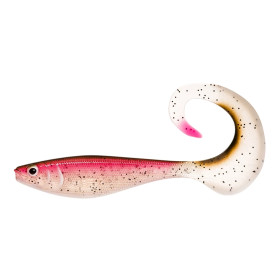 Live Rainbow Trout 18cm 55g