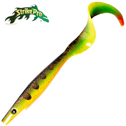 Orange Belly Perch 23cm