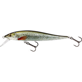 Real Roach 9,5cm 8g