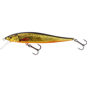 Real Rudd 9,5cm 8g