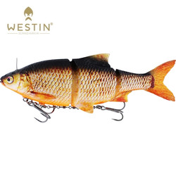 Real Rudd 25cm 210g Sinking