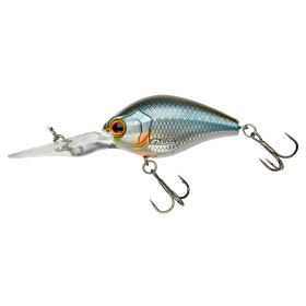 Roach Tendance 4,5cm