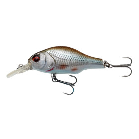 Roach 5,8cm 9g