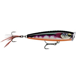 Gilded Toman 7,5cm 10g