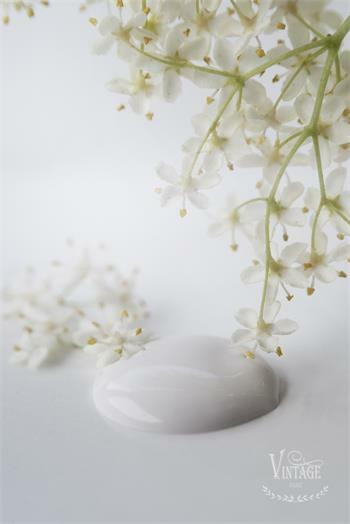 Warm Cream - 700mL