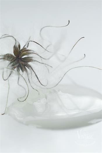  Soft Sand - 700mL