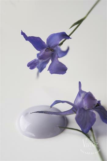  French Lavender - 100ml