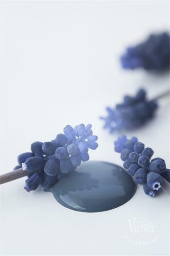 Royal Blue - 100ml