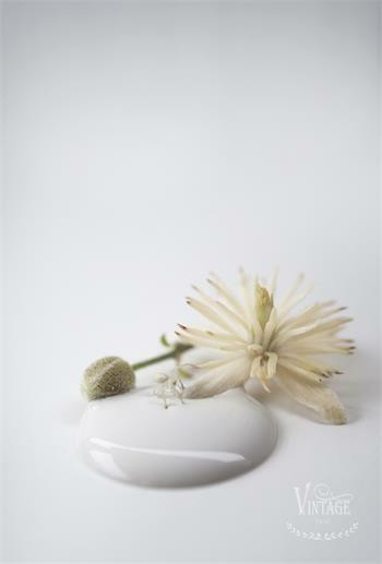  Antique Cream - 700 ml