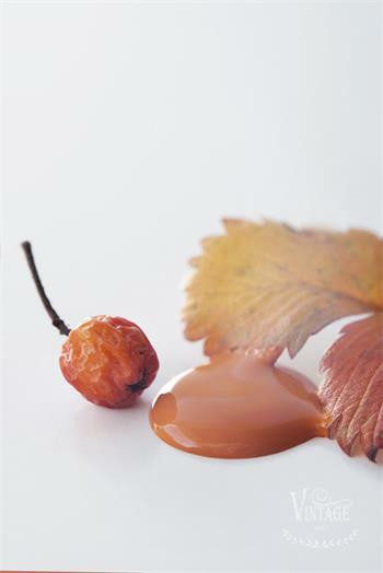  Rusty Orange 100ml