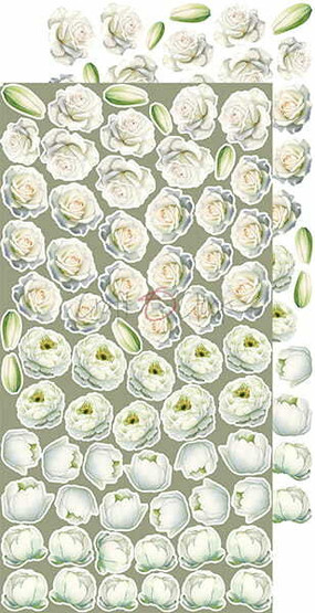 Craft O’Clock leikekuvat – A DAY TO REMEMBER - EXTRAS set - FLOWERS 