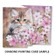 Kissa ja kukat siksak 16x16cm