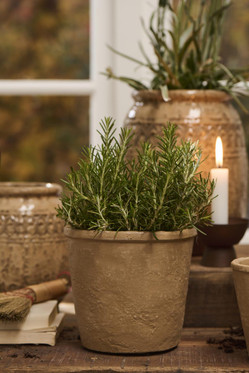 Saga Ruukku Ib Laursen