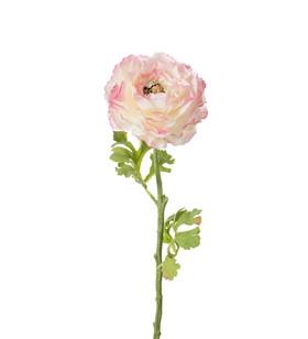 Jaloleinikki 50cm Pinkki