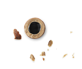 Small D Salt Caramel choc coated liquorice