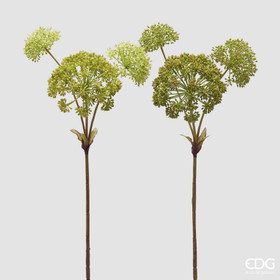 Angelican oksa 72 cm