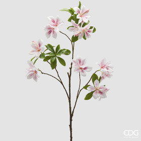 Azalean oksa 100 cm valkopinkki