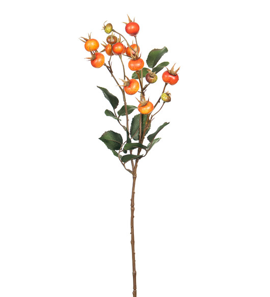 Ruusunmarjaoksa 60cm