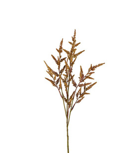 Jaloangervo 65cm Ruskea