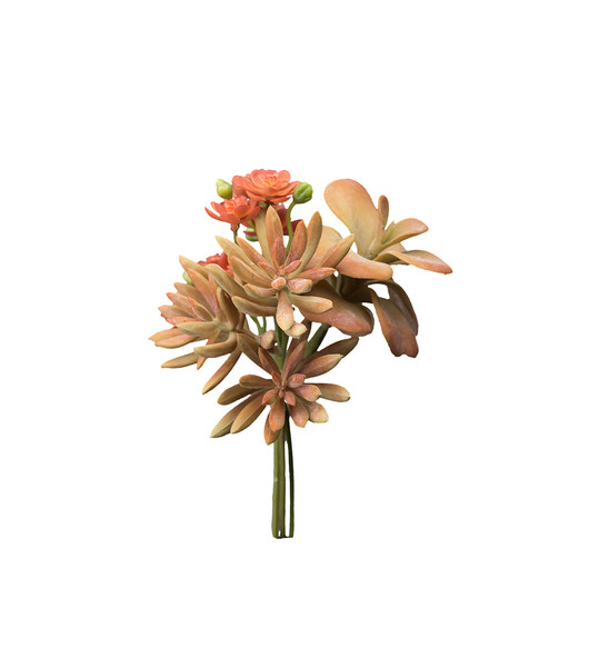 Succulent bucket 18 cm