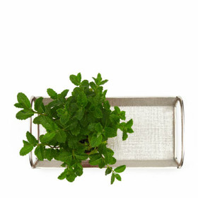 Toronto Tray alu 40x20