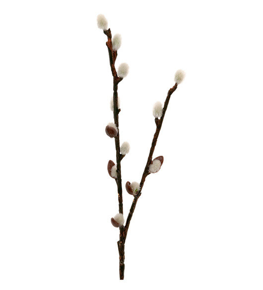 Pajunkissa 36 cm