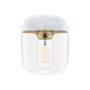 Acorn white Polished Brass