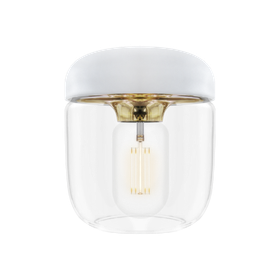 Acorn white Polished Brass