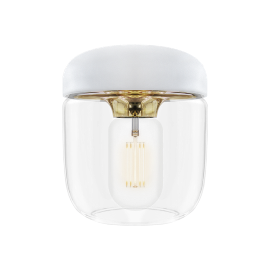 Acorn white Polished Brass
