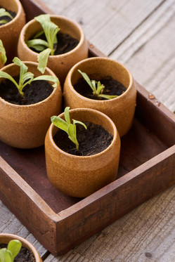 Puinen Unique laatikko Ib Laursen