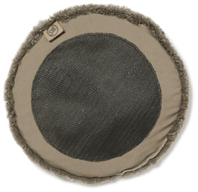 Curly istuintalja Sahara