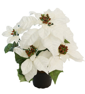 Joulutähti valkoinen 35 cm Mr Plant