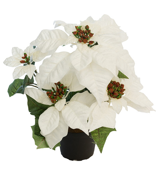 Joulutähti valkoinen 35 cm Mr Plant