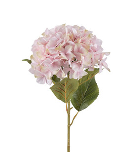 Hortensia 110 cm vaaleanpunainen