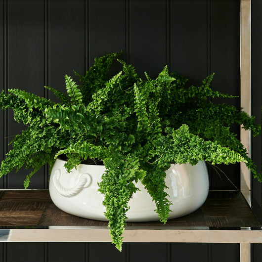 RM Yorkville Planter Low