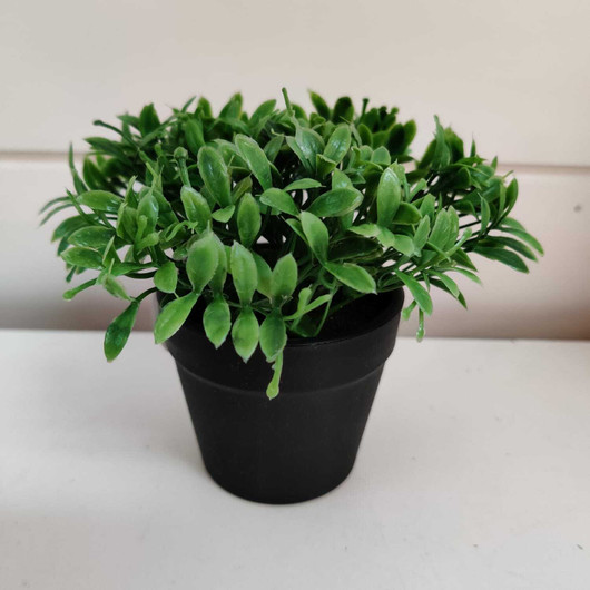 Mini kasvi ruukussa (nro 5)