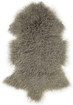 Shansi Lampaantalja Mushroom, vaalean ruskea