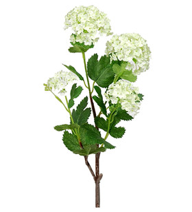 Silkkikukka lumipalloheisi 55 cm Mr Plant