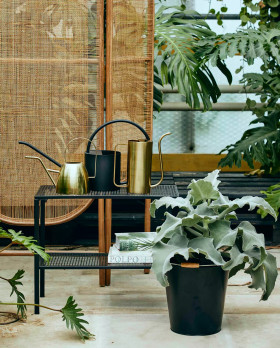 Kastelukannu kullansävyinen harjatulla pinnalla Nordal