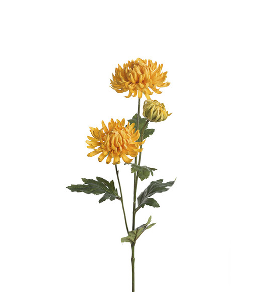Krysanteemi 60 cm keltainen