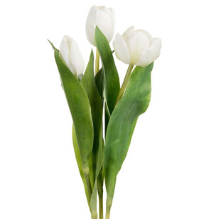 Tulppaanikimppu valkoinen 3 kpl / kimppu