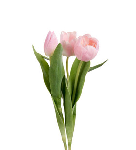 Tulppaanikimppu vaaleanpunainen 3 kpl/ kimppu